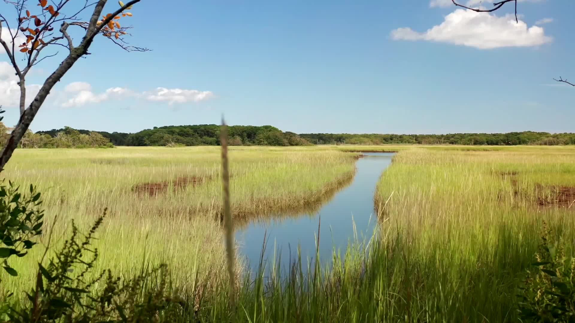 Thumbnail image for If Our Walls Could Talk - Cape Cod, Part 1