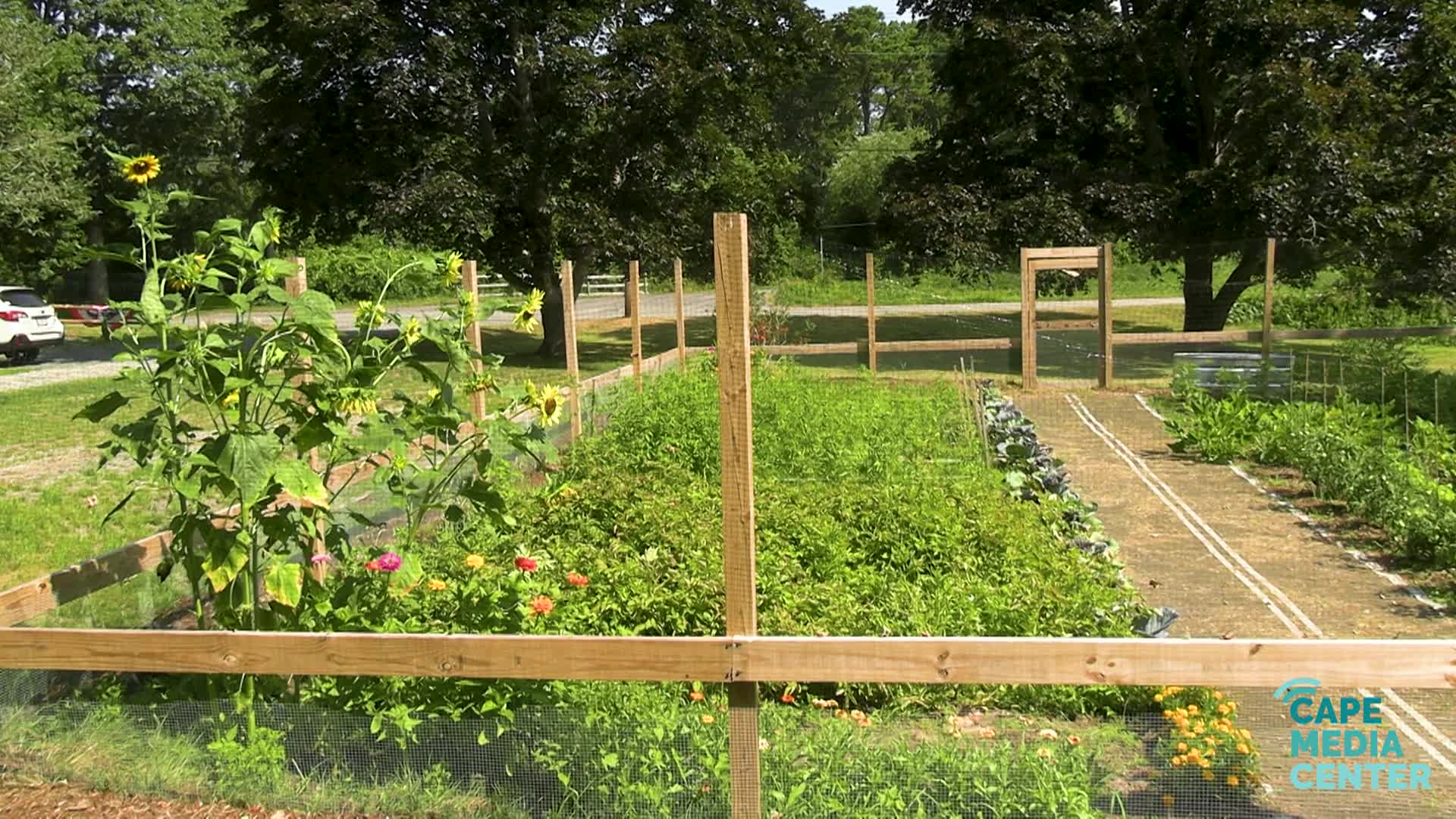 CMN - Not Enough Acres Farm 2025