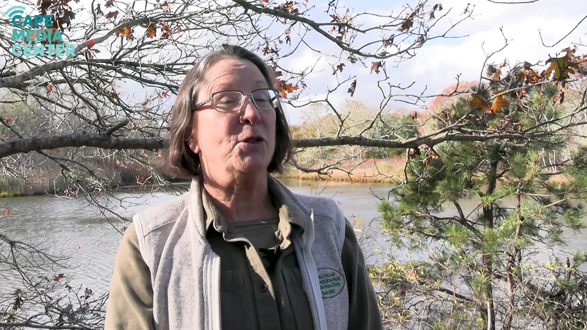 Thumbnail image for CMC - Chatham Conservation Foundation