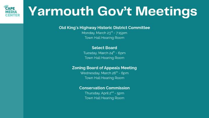 Thumbnail image for Yarmouth gov 3-20