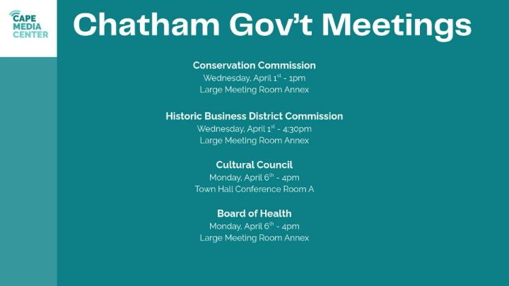 Thumbnail image for Chatham gov 3-27