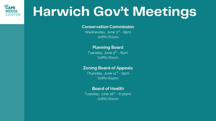 Thumbnail image for Harwich gov 5-29