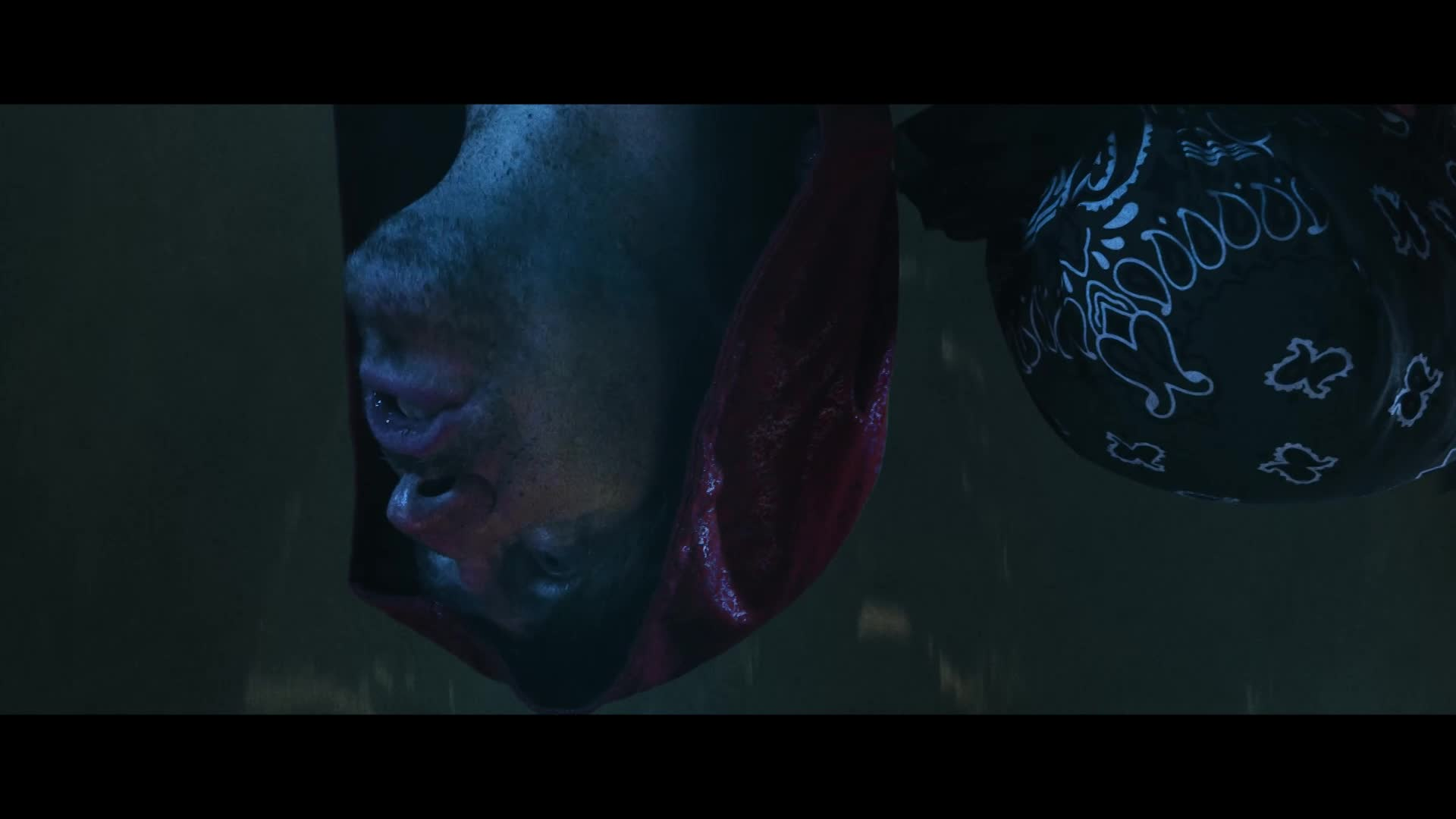 Immer Presents - Mind the Trap